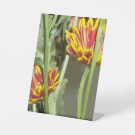 Expositor En L Foto de Flores