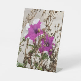 Expositor En L Foto de Flores Moradas