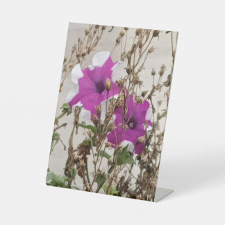 Expositor En L Foto de Flores Moradas