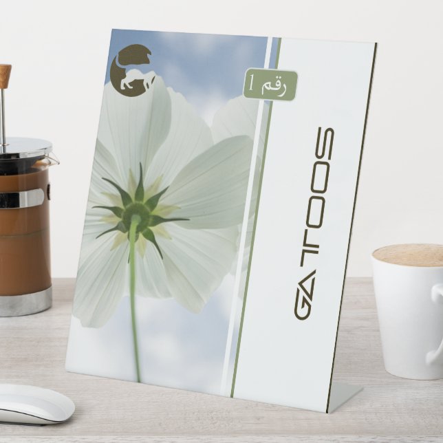 EXPOSITOR EN L GATTOOS (In Situ)