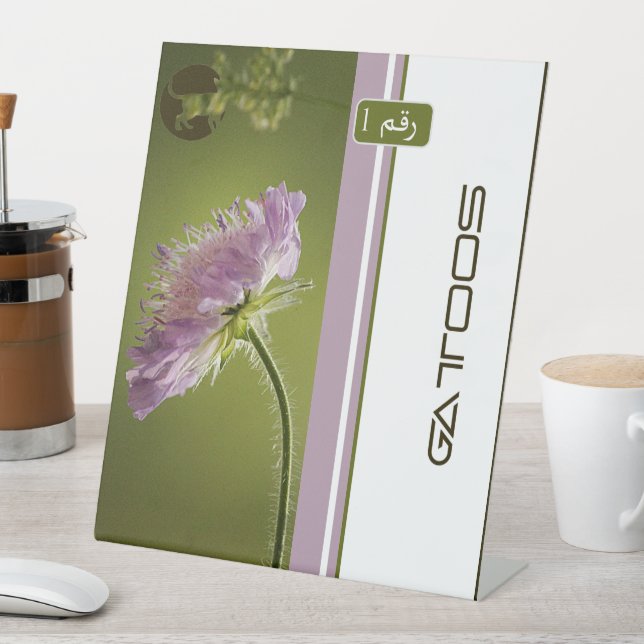 EXPOSITOR EN L GATTOOS (In Situ)