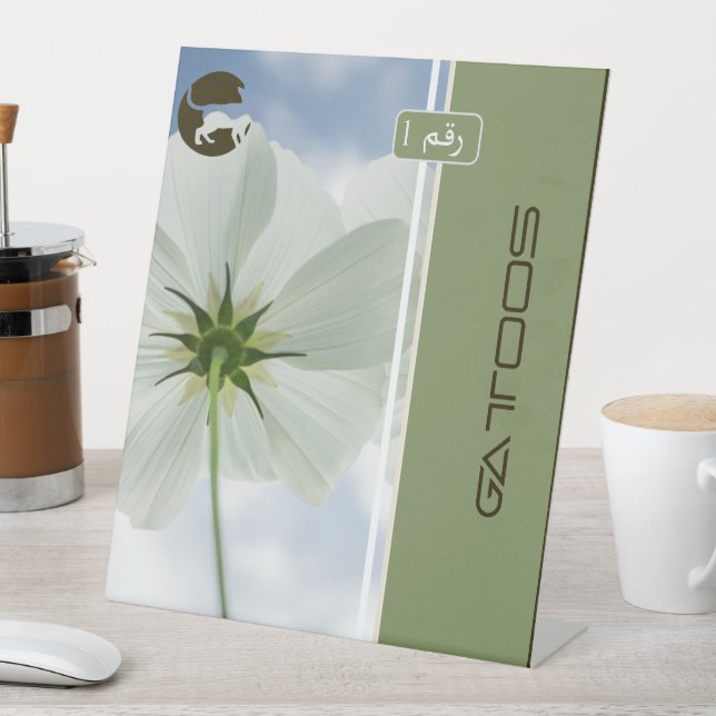 EXPOSITOR EN L GATTOOS (In Situ)