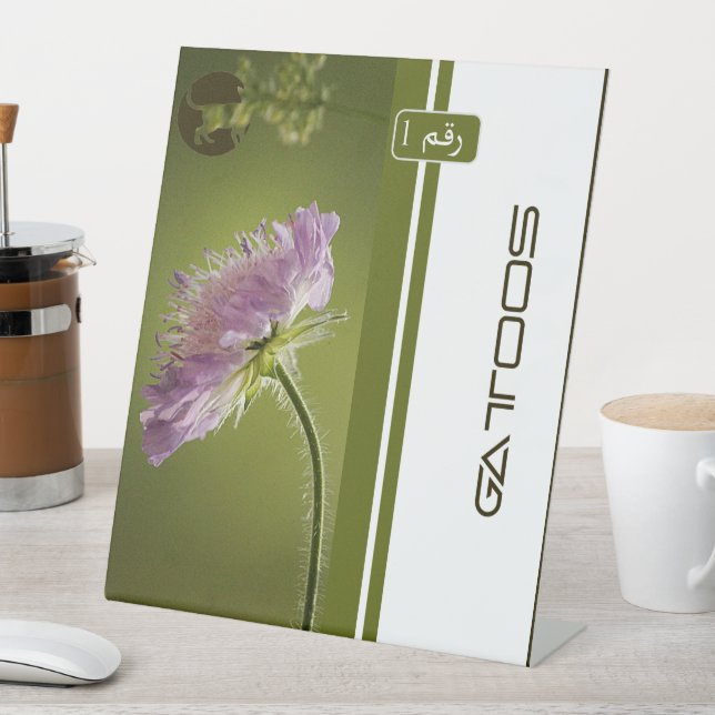 EXPOSITOR EN L GATTOOS (In Situ)