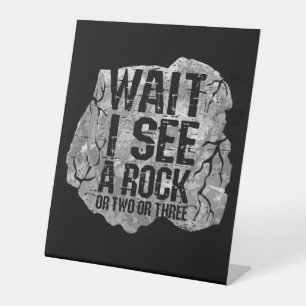 Expositor En L Geología - Esperen a ver una roca
