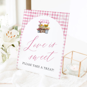 Expositor En L Gingham Rosa Acabado de Salir del Mercado El Amor