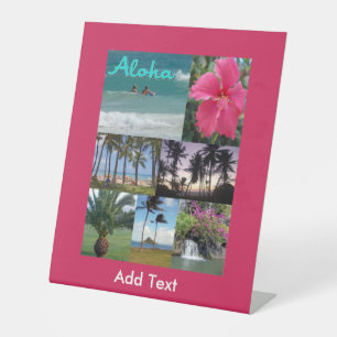 Expositor En L Heavenly Hawaii