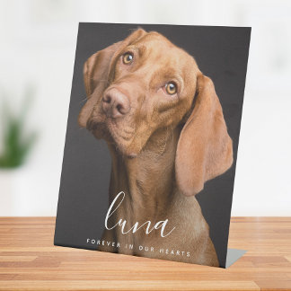 Expositor En L Homenaje a memoria de mascota
