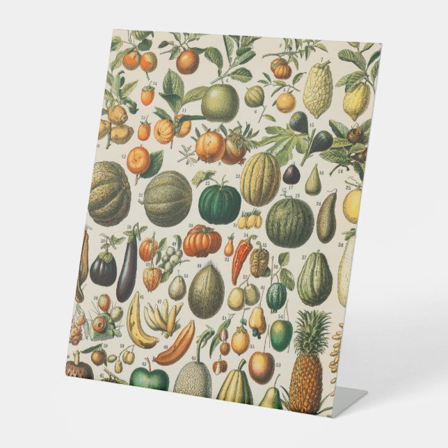 Expositor En L Ilustracion científico botánico de frutas (Anverso)