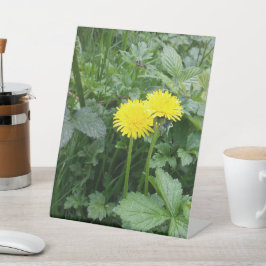 Expositor En L Impresión de lienzo estirado