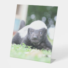 Expositor En L Insignia de miel de bebé en fotografía de hierba v