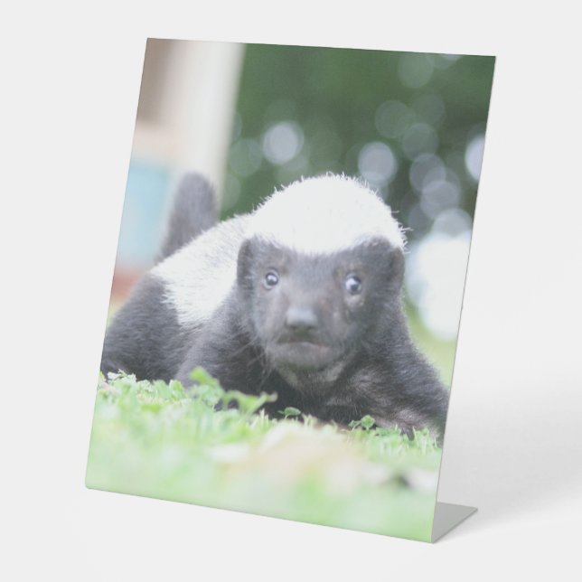 Expositor En L Insignia de miel de bebé en fotografía de hierba v (Anverso)