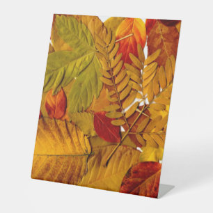 Expositor En L Letrero de pedestal de plástico de 10"X12"