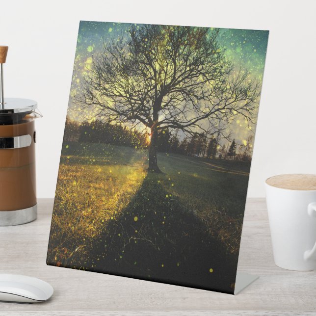 Expositor En L Luciérnagas mágicas paisaje de ensueño (In Situ)