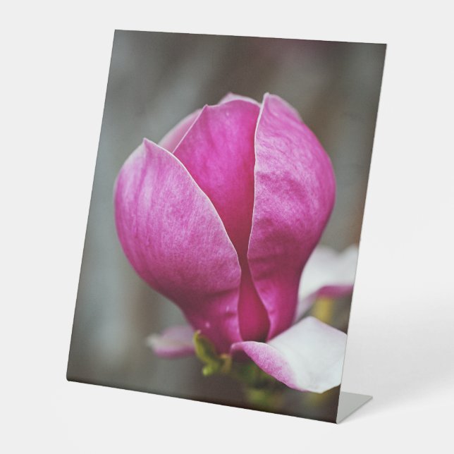 Expositor En L Magnolia Pink Full Bloom (Anverso)