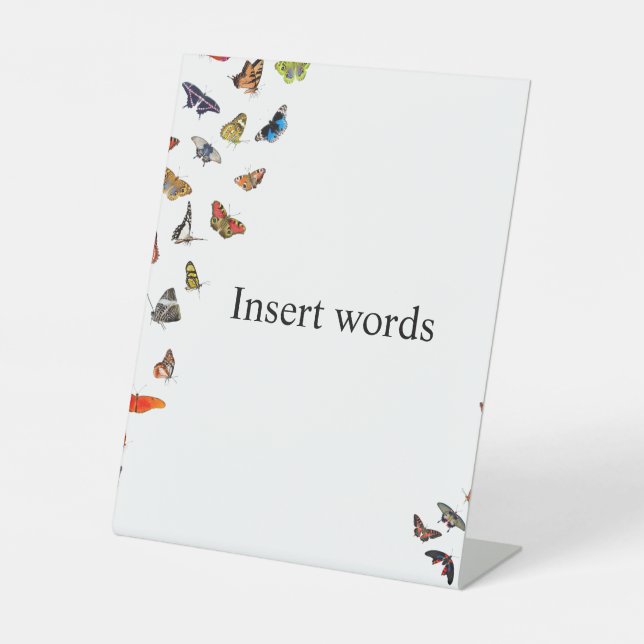 Expositor En L Mariposa (Anverso)