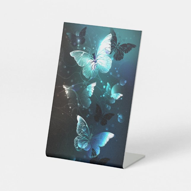 Expositor En L Mariposas nocturnas (Anverso)