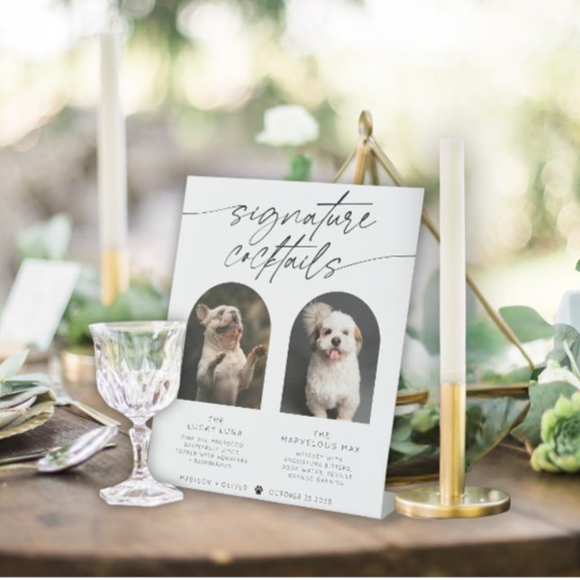 Expositor En L Mascota de cócteles con firma de arco moderno (Subido por el creador)