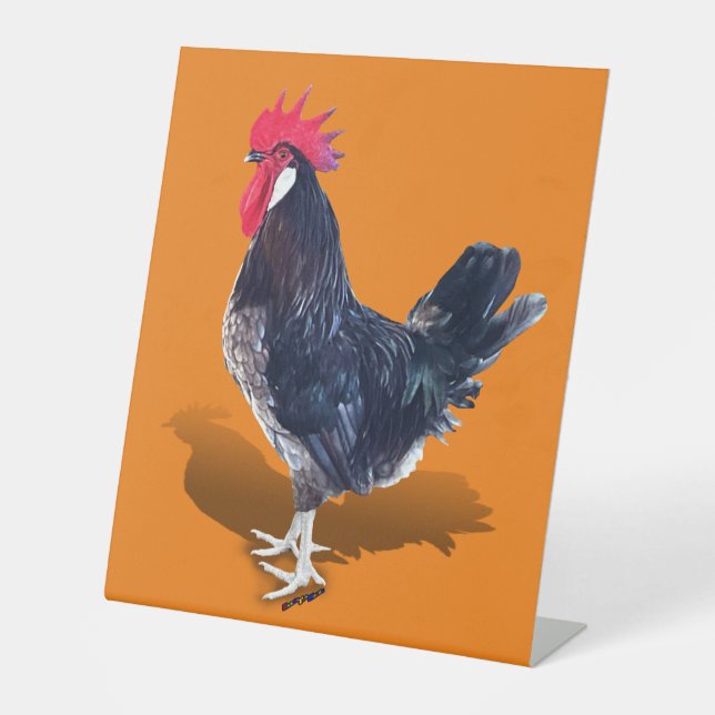 Expositor En L Menorca Rooster (Anverso)