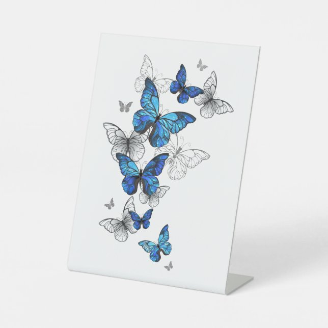 Expositor En L Morfo de las mariposas voladoras azules (Anverso)