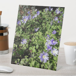 Expositor En L Muchas flores