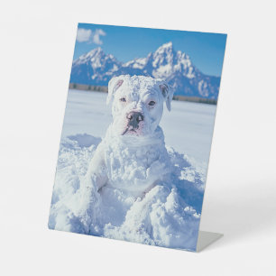 Expositor En L Navidades Pitbull Dog Snowman