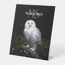 Nombre personalizado del monograma de búho de niev