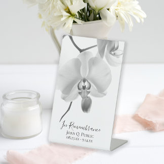 Expositor En L Orquídeas blancas negras en la celebración de la v