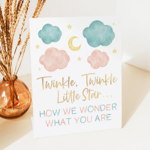 Expositor En L Pequeña Estrella De Twinkle Cómo Nos Preguntamos P
