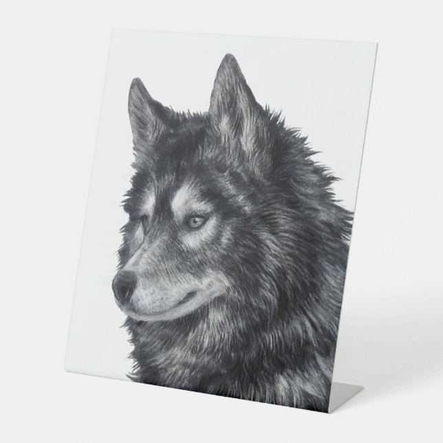 Expositor En L Perro Balto (Anverso)