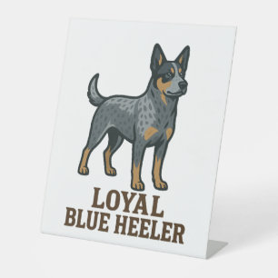 Expositor En L Perro Boyero Australiano Loyal Blue Heeler