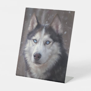 Expositor En L Perro Husky Siberiano