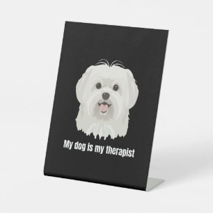 Expositor En L Perro Maltés