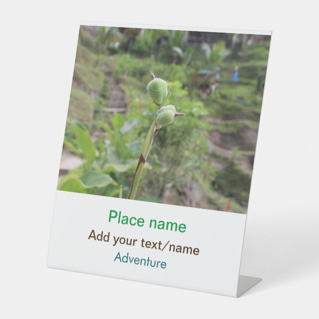 Expositor En L Plantas naturales fotografía nombre de viaje en ag (Anverso)