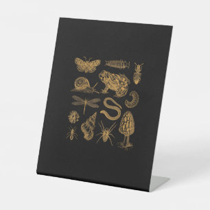 Expositor En L Polilla Hongo Rana Vintage Amante Goblincore