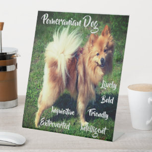 Expositor En L Rasgos adorables del perro Pomerania Letrero de pe