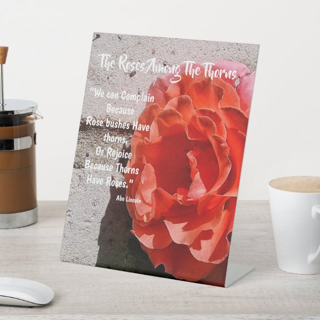 Expositor En L Rosas entre los ánimos (In Situ)