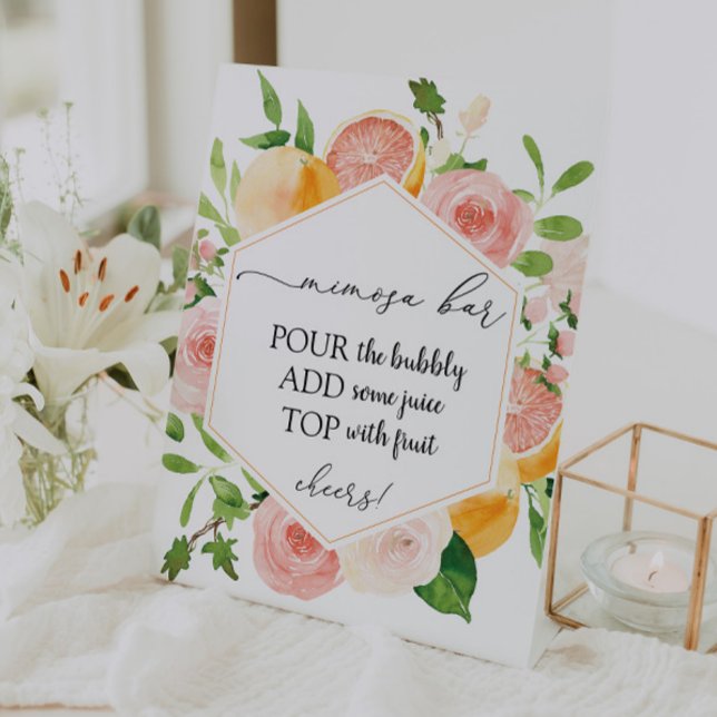 Expositor En L Rótulo de bar Citrus Fruit Mimosa (Subido por el creador)