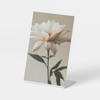 Expositor En L Rótulo Pedestal