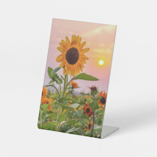 Expositor En L Rótulo Pedestal