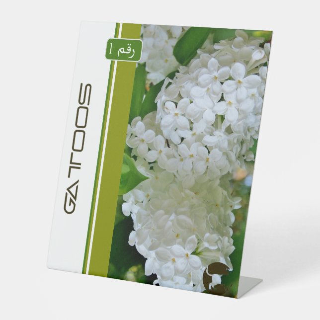 EXPOSITOR EN L RÓTULO PEDESTAL GATTOOS (Anverso)