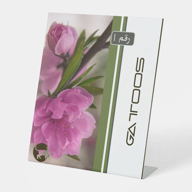 EXPOSITOR EN L RÓTULO PEDESTAL GATTOOS (Anverso)