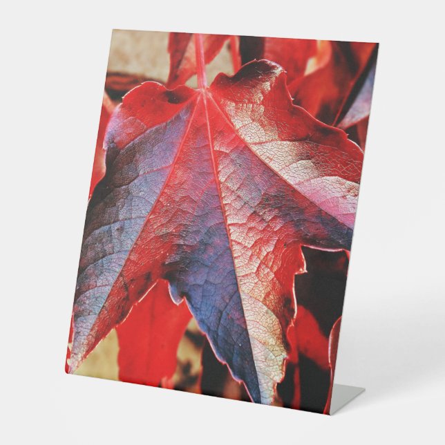 Expositor En L Rótulo Pedestal Plástico 10"X12" (Anverso)