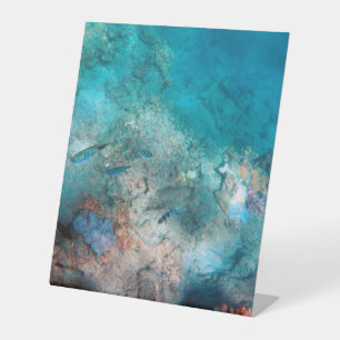 Expositor En L Rótulo Pedestal Plástico 10"X12"