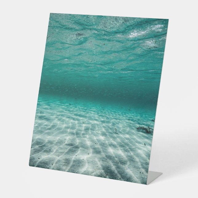 Expositor En L Rótulo Pedestal Plástico 10"X12" (Anverso)