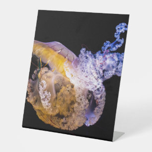 Expositor En L Rótulo Pedestal Plástico 10"X12"