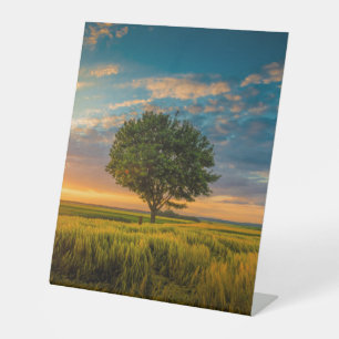 Expositor En L Rótulo Pedestal Plástico 10"X12"