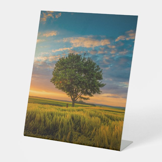 Expositor En L Rótulo Pedestal Plástico 10"X12" (Anverso)