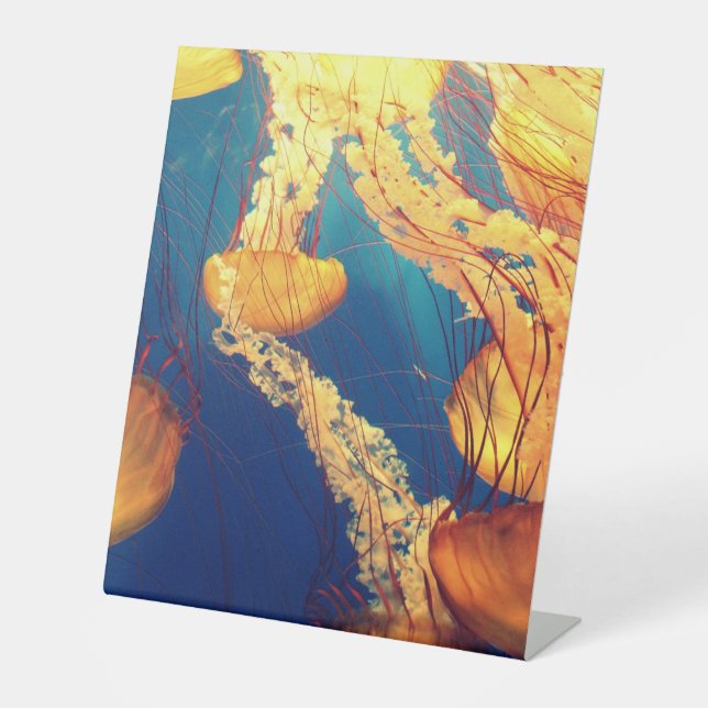 Expositor En L Rótulo Pedestal Plástico 10"X12" (Anverso)