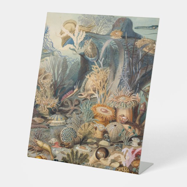 Expositor En L Rótulo Pedestal Plástico 10"X12" (Anverso)