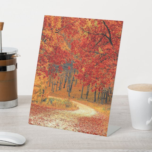 Expositor En L Ruta en el bosque, otoño (In Situ)